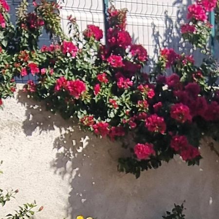 Vila Megi-Rent Room Vlore Exterior photo